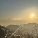 나곡초교입구 삼거리(노브랜드) | 251102 화왕산