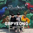 새 | 가평 베고니아 새정원 아이랑 다녀온 후기 (앵무새 체험, 독수리 공연까지)