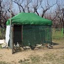 금구농장 이미지