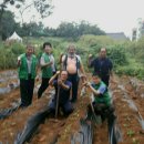 안종호농장 이미지