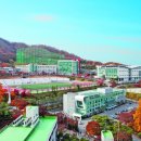 용인대학교 이미지