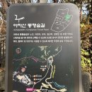 아차산 동행숲길 | 피톤치드 가득한 도심 속 쉼터 아차산 동행숲길, 아차산 어울림 정원