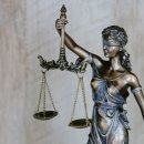 미미행정사 이미지