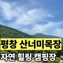 텃골 흑염소목장 | 별이 쏟아지는 평창 산너미 목장 후기 3번 가도 또 가고 싶은 강원도 가족 애견 캠핑장