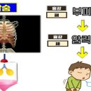 십자가형의 고통 이미지