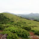 오름주유소 이미지