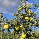 햇님농장 이미지