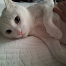 성하축산 이미지