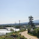 영희의 정원 이미지