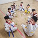 원도 태권도장 이미지