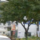 부경카센타 이미지