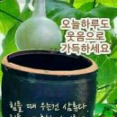 신성요양병원 이미지