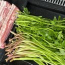 고수동 마을앞 이미지