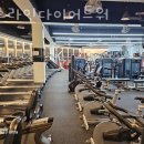 에스라인 이미지