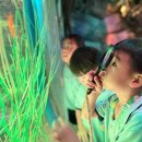 Tenby SEG-Year 1 students explored the wonders of SEA LIFE Malaysia 이미지