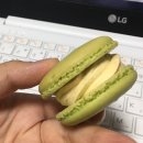 김엄마마카롱 이미지