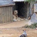 고니하우스 이미지