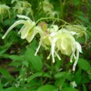 청한농장 이미지