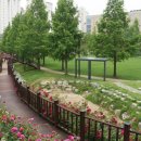 장미공원 주차장 입구 이미지