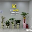 대교뉴이프 창원 요양보호사교육원 네이버블로그