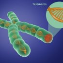 NR-14[남해안대로]-상-92 | &lt;노화의 종말&gt; 상세 요약과 싱클레어박사의 영양제 2024 버전 해설