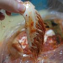 (주)해도지 네이버블로그