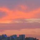 본래순대 함양상림점 이미지