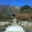 은아네집 이미지