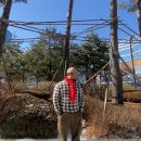 어썸데일리