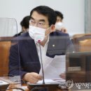 785 이미지