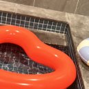 판포3355 이미지