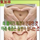 뱃살 빼는 순서~~ 이미지