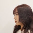 솔헤어 이미지