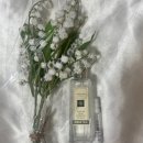 조요소 | 멜린앤게츠 스템 vs 조말론 잉페프 비교🌼