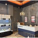 도그메리트 강아지 이미지