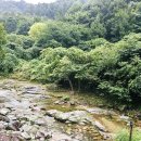 태기산 아름채 관광농원 | 횡성 아름채 펜션 ,신대계곡 펜션. 조용하고 힐링 숙소 추천👍