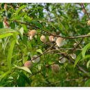 가연농장 이미지