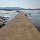 안동세월교 이미지