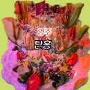단홍집 | 영주 맛집 단홍에서 하몽 먹으며 공주놀이 야경최고