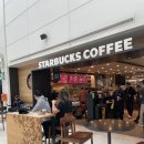 슈가팝핑 | 마억두의 뉴욕여행, JFK공항 1터미널 스타벅스 후기 (가격, 이용방법)