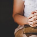 구주목장 이미지