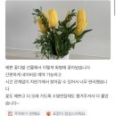 청주온누리어린이집(구엘리트어린이집) | 유진화원- 30송이 장미꽃다발/ 스위스그랜드호텔 행사 꽃다발/ 유치원 ,대학교 졸업 꽃다발/ 여자친구...