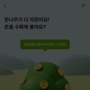 돈나무 이미지
