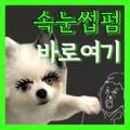 순수뷰티 스튜디오