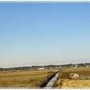 운곡약국 이미지