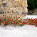 아름다운여행 이미지