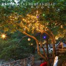 평창 태기산 캠핑장 펜션 이미지