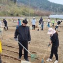 내동면시민텃밭 이미지