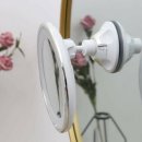 돌다리몰 이미지