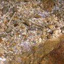 대원정사 이미지